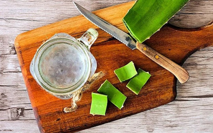 Aloe Vera: The Knight In Shining Armour!