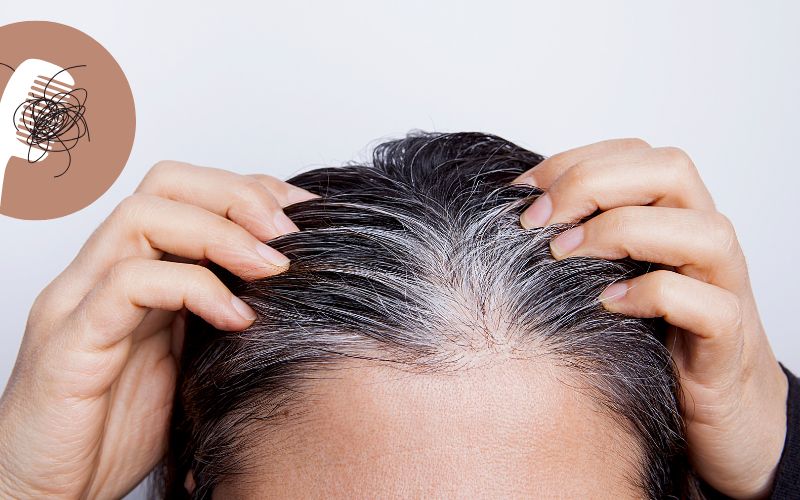 Hair Thinning Treatment in Delhi
